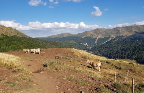 Résidence récente au Lioran à proximité des remontées mécaniques - Photo 36