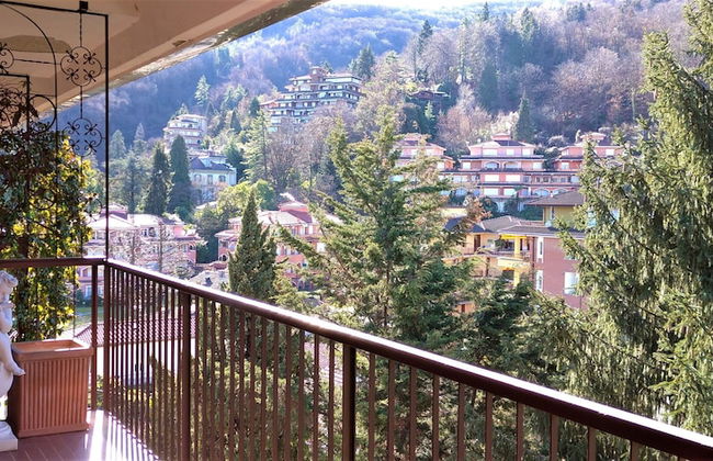 Pettirosso - Photo 30