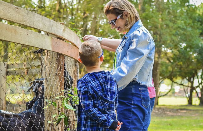 Hotel Acqua Lokos - Foto 31