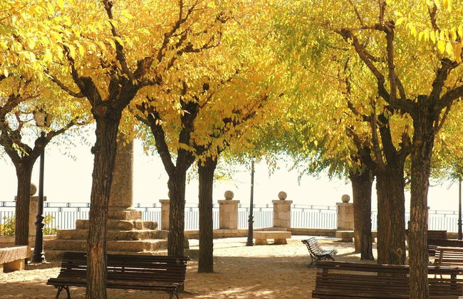 Posada La Gatera - Foto 23