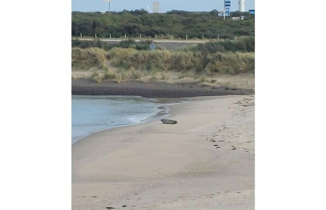 No Title Modern Retreat - Photo 18