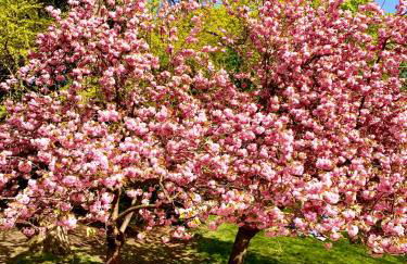 Love Nest In Paris - Foto 18