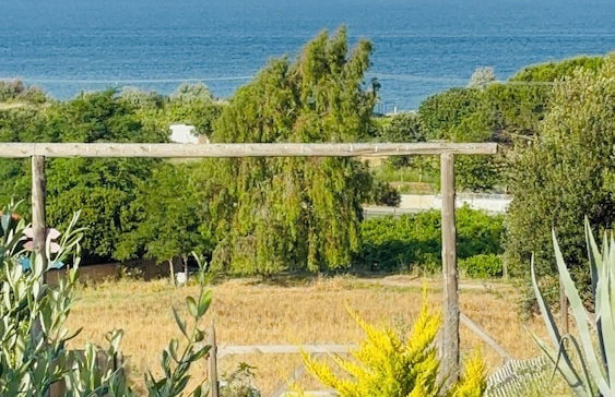 Zeus kır evi - Foto 50