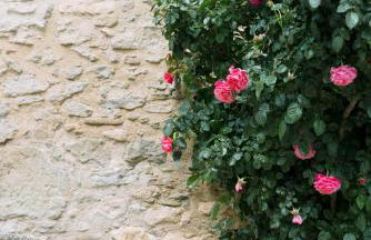 Domaine de la barbeirasse - Foto 26