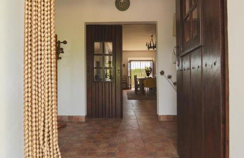 Monte Ribeira de Mures - Foto 8