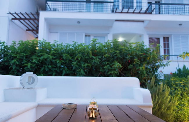 Hotel Elena - Photo 24