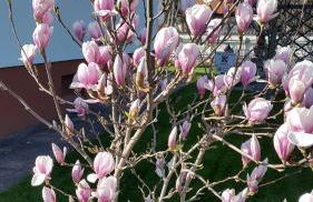 Ferienhaus Bauer - Foto 5