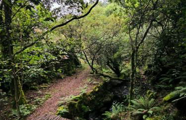 Cantinho do Talasnal - Foto 26