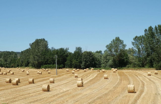 Farmhouse With Pool - Foto 32