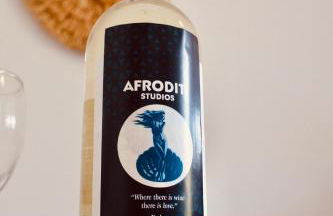 Afroditi Junior Suites - Foto 48