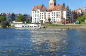 STARE MIASTO KWIATY - Foto 16