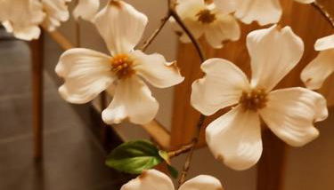 La Feclaz - Duplex 90m2 au pied des pistes - Foto 4