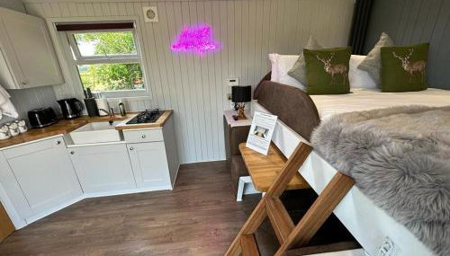 The Stag's Head - Shepherds Hut - Foto 5, stove