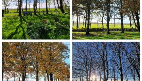 Ferienwohnung Sort Sol Grellsbülldeich 7 - Foto 3