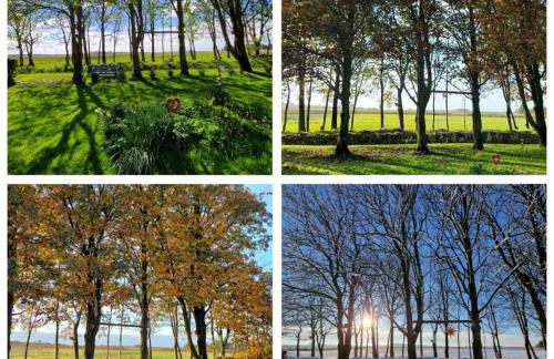 Ferienwohnung Sort Sol Grellsbülldeich 7 - Foto 3