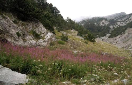 Olympos Philoxenia, μεταξύ βουνού και θάλασσας - Foto 27