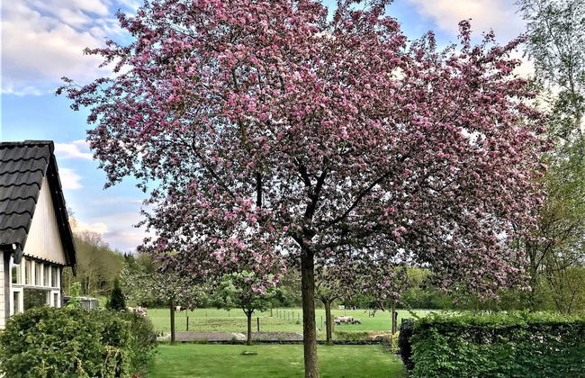 Homely Apartment in Noordwolde With Balcony - Foto 16