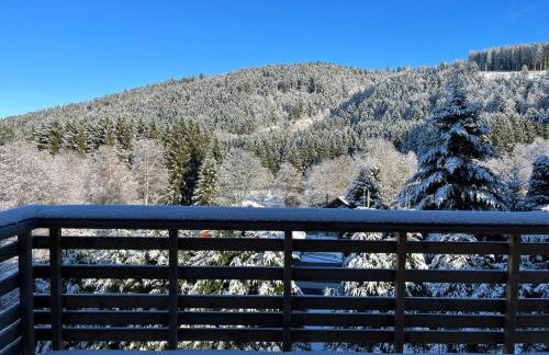 CHALET LES PRIMEVÈRES 4 Étoiles - Foto 2