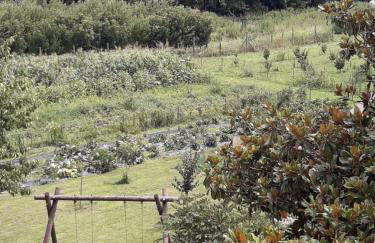 Pecore Ribelli - Photo 13