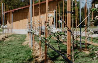 4 Sterne Ferienwohnung Hochries - Foto 8