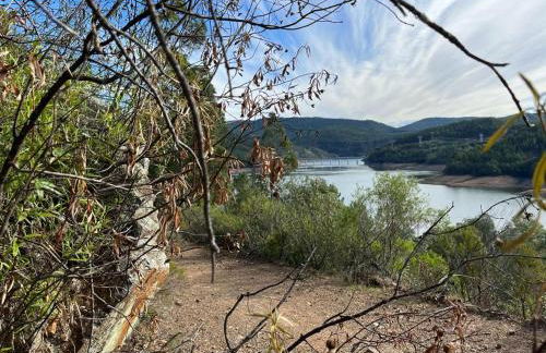 Canto do Zêzere, Sertã, Dornes, Castelo do Bode - Foto 48
