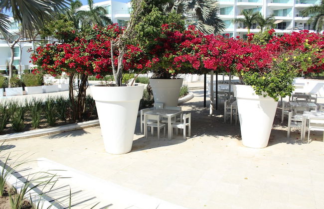 Studio Ocean View in the Best Location of Vallarta - Foto 31