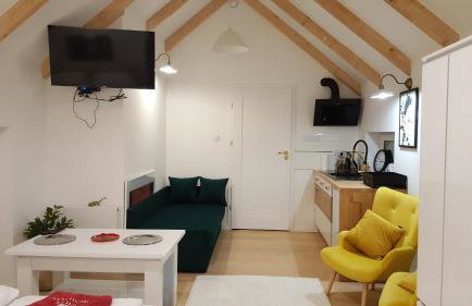 APARTAMENTY ZIELONY KAMELEON - Foto 76