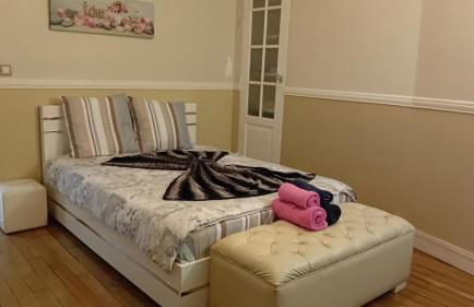 Appartement lumineux à Arcueil-Cachan - Foto 22