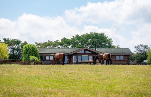 Constable Burton - Photo 21