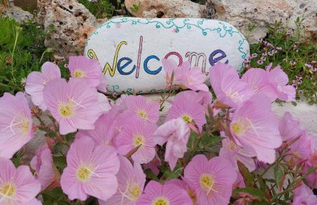 View Villas - Foto 33