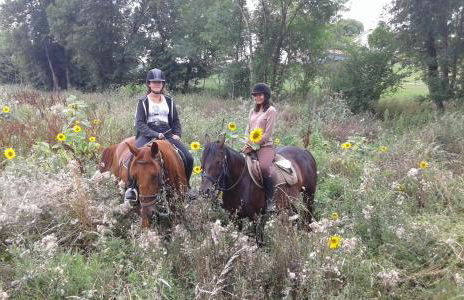 ferme équestre des abrons - Foto 26