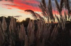 Villa atypique bord de plage méditerranée label architecture contemporaine remarquable - Foto 26