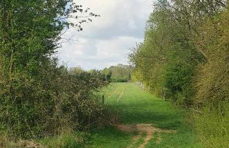 Ferienwohnung Luft und Erde - Foto 19