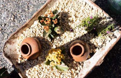 Las Latas del Almendro 3 - Foto 27