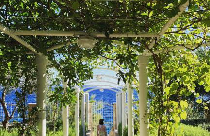 Luxury Seaside Villa with a classic Mediterranean Olive Garden, a fully equipped Professional Kitchen, Pool, Sauna, Padle Boards and Canoe - Miolin Beach House - Photo 16