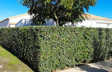 Maisonnette à deux pas de la plage dans résidence calme - Foto 42