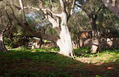 Agroturísme Ca'n Gaià - Foto 144