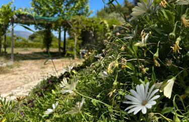Villa Kalamos / Sea View and Pool nearby Athens - Foto 70