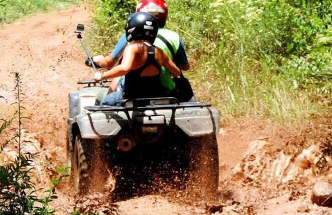 Refúgio dos pinhais - Foto 38