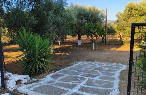 Petrohori before midnight - Foto 49