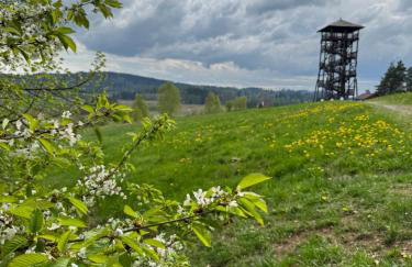 Apartament Między Szlakami - Foto 14