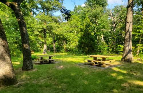 Park-Side Home in Jamaica Plain - Foto 8