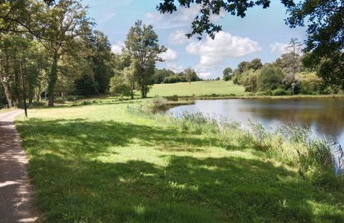 La petite lisonne - Foto 29