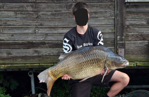 Haus 'am Selliner See-wismar' - Foto 17