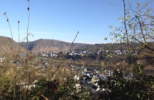 Bauernstube Scheidterhof - Foto 21