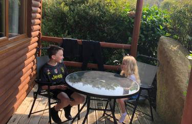 East Crinnis Log Cabin - Photo 2