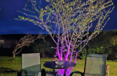 Apartamentos Castello - Foto 72