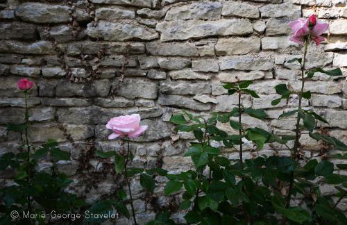 La Victoire de Noyers - Foto 74