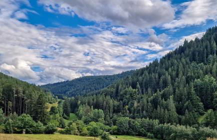 Charaktervolle 122qm Altbau-Ferienwohnung mit Stuck, viel Platz für Familien & Gruppen bis zu 8 Personen, Parkplatz inklusive - Photo 72