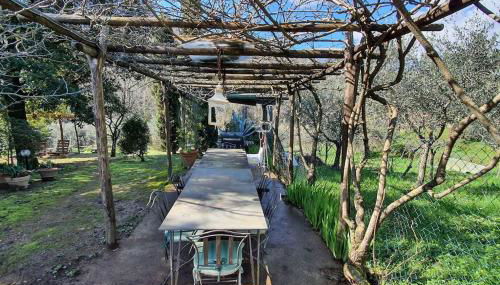 Il Cantuccio 1 - Foto 1, Garden